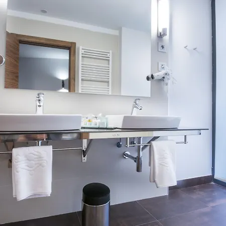 Hotel Del Roser De 4*